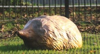 a sculpture of a hedgehog in the grass