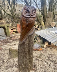 a wooden owl sitting on top of a tree stump