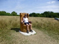 a man sitting on a wooden throne in a field