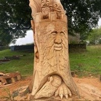 a tree with a carving of a man and a woman