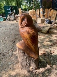 a carved owl sitting on a stump in a wooded area