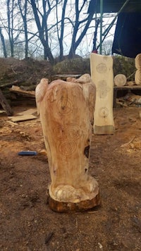 a tree stump is being carved in a wooded area