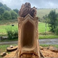 a tree stump with an owl sitting on it