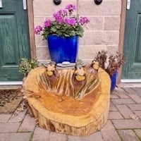 a tree stump with a flower pot on it