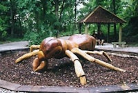 a wooden sculpture of an ant in a park