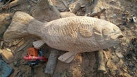 a fish carved out of wood