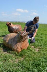 a man kneeling on a grassy field with two sheep statues