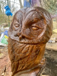 an owl is carved out of wood