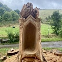 an owl sitting on top of a tree stump