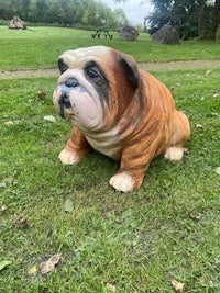 a statue of a bulldog sitting on the grass