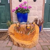 a water fountain made from a tree stump in front of a door