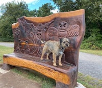 a dog sits on a wooden bench in a wooded area