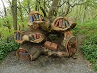 a tree trunk with books on it in the woods