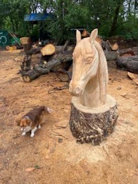 a dog is standing next to a wooden horse head