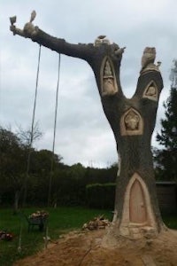 a tree that has been made into a swing