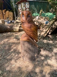 a wooden owl sitting on a tree stump