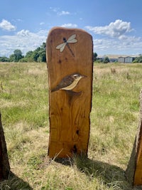 a pair of wood carvings with a bird and dragonfly on them