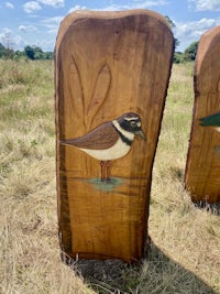 a pair of wood carvings with birds on them